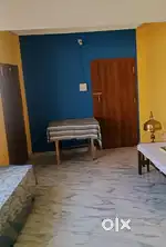 Roo for rent