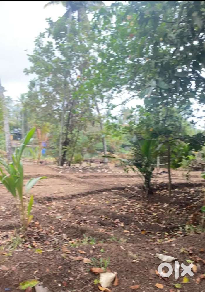 Plot for Rent near Anchuthengu Fort
