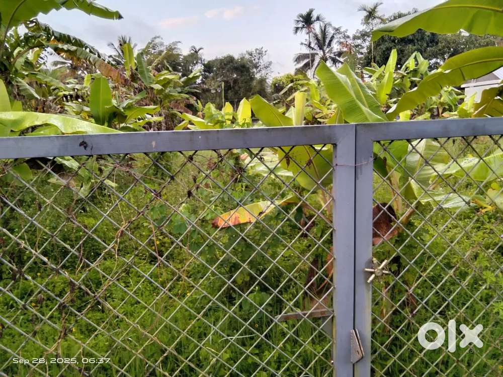 25 cents with  two bed room house