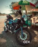 HIMALAYAN FOR SALE