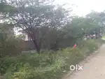 Plot for sale in Ranipet
