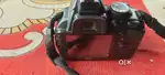 Nikon D3100