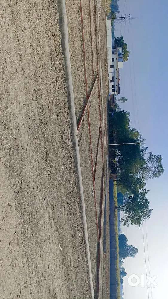 Plots near Shiv Shankar College kareempur