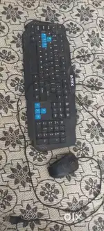 CPU mouse keyboard available hard disk problem only