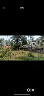 Kalliyoor near panchayathuoffec poonkulam vellayani