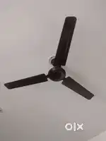 Luminous company fan