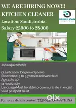 kitchen cleaner
