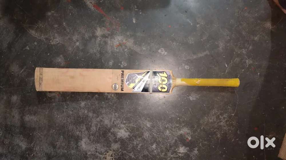 Cricket bat