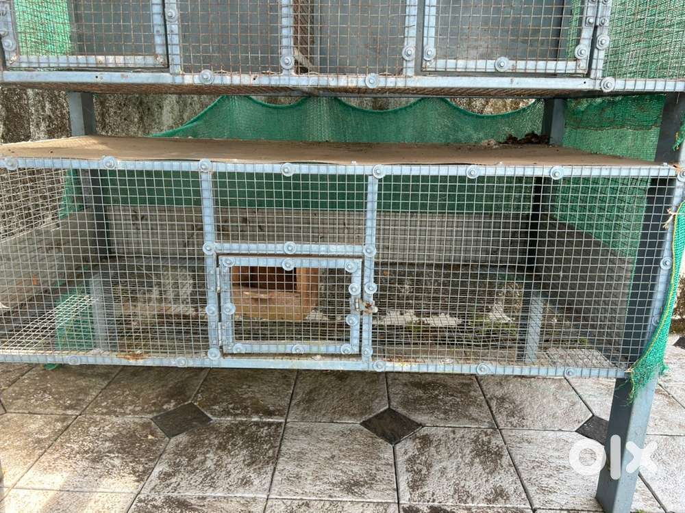 Poultry cage