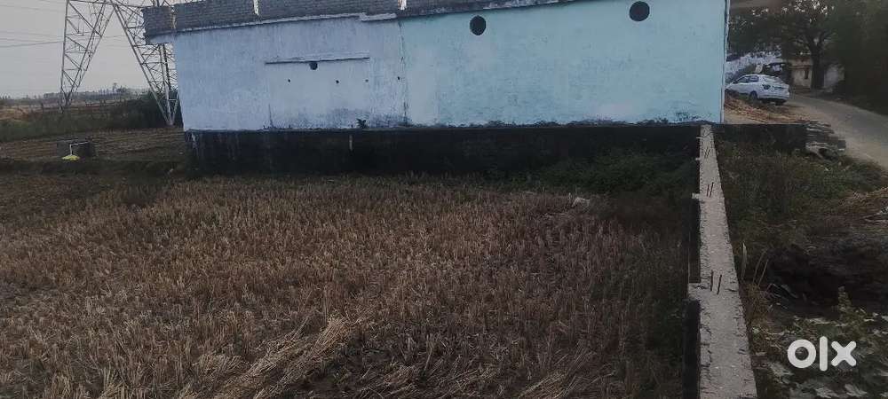 Only genuine log rahe