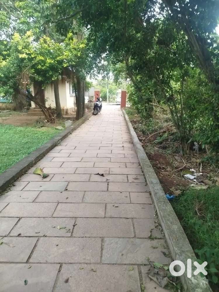 Need care taker for pregnant lady