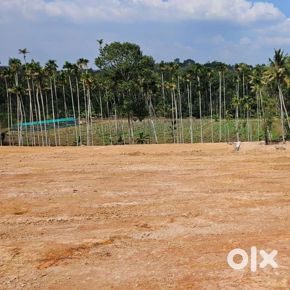9 cents land for sale at Arakkunnam