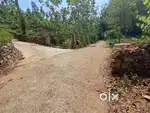 5 acres Agricultural land titled 'Purayidam'