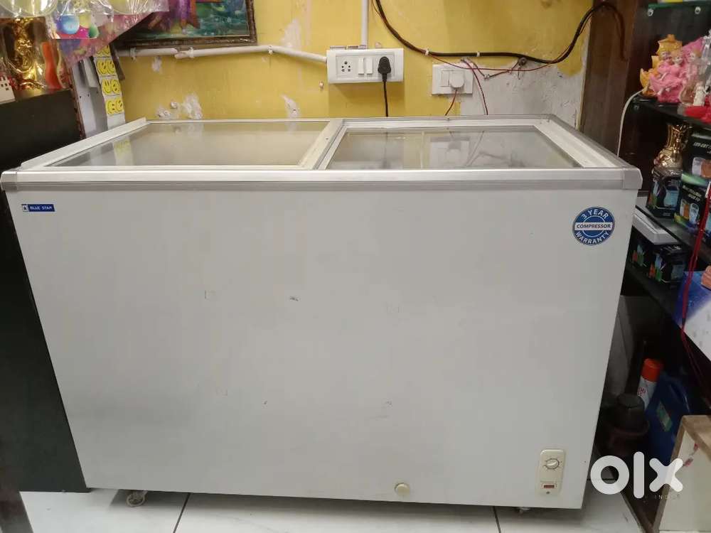 Blue Star Deep Freezer 400 Lt