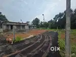 3 Cent Purayidam Plot for Sale – Neericode, Near Kongorpilly, Varapuzh