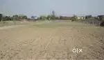 8.5 kattha jamin bikri hai
