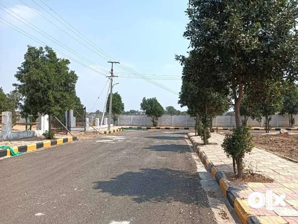 2025’s Smartest Investment: Land That Grows in Value Every Year!