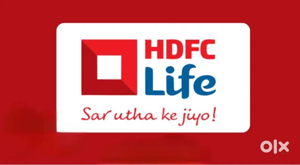 Sales development Manager