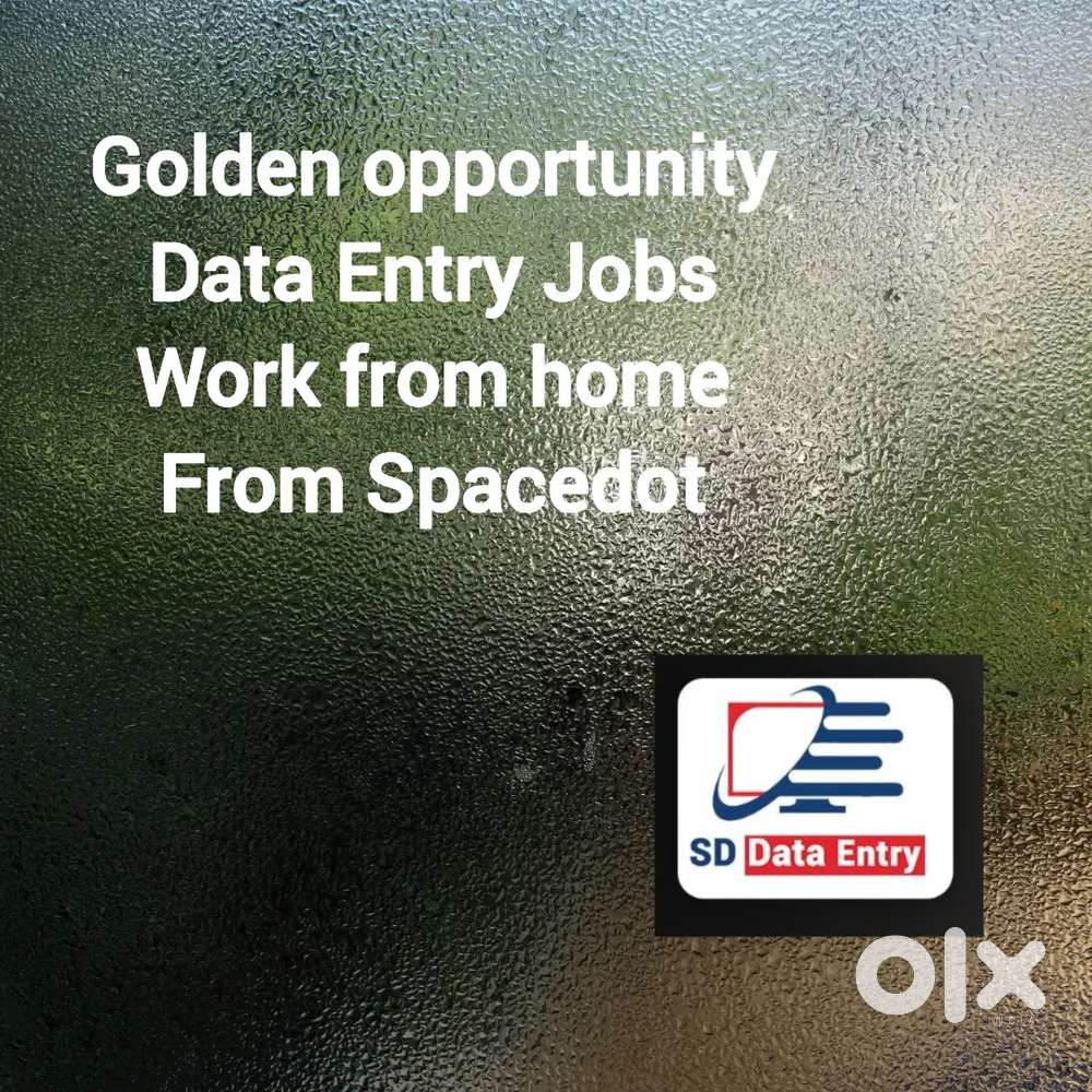 Golden opportunity for Data Entry Job