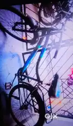 1. “Gang Brand Cycle – Second Hand, No Gear, Excellent Condition”