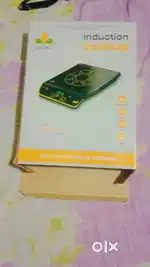 induction chulha