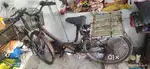 Lady gold model cycle