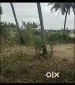 இருந்தால் தெரிவிக்கவும்