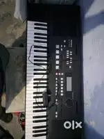 Rolandy ex50