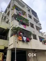 1 bhk flat on rent