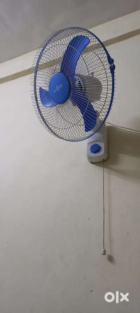 Wall fan best class conditions hardly used need to sell for 1000 only.