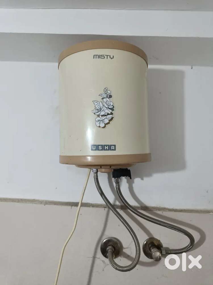 Geyser: Brand Usha