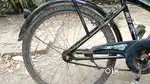 7 month old cycle