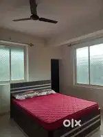 Rent for bachelors nfsu student