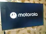 Motorola 55 inch qled