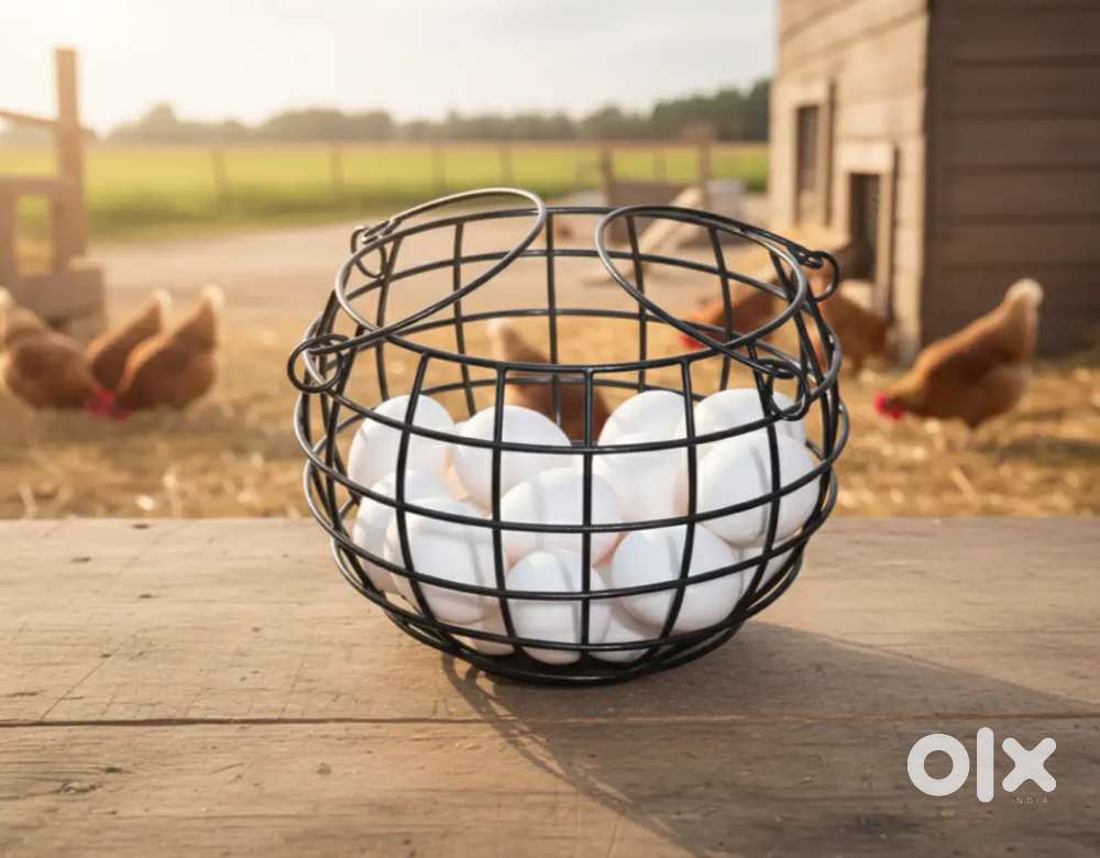 Handmade Iron Wire Basket  Fruit Basket  Egg Basket  kitchen Decor