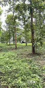 690 cent of land in Wayanad fir sale