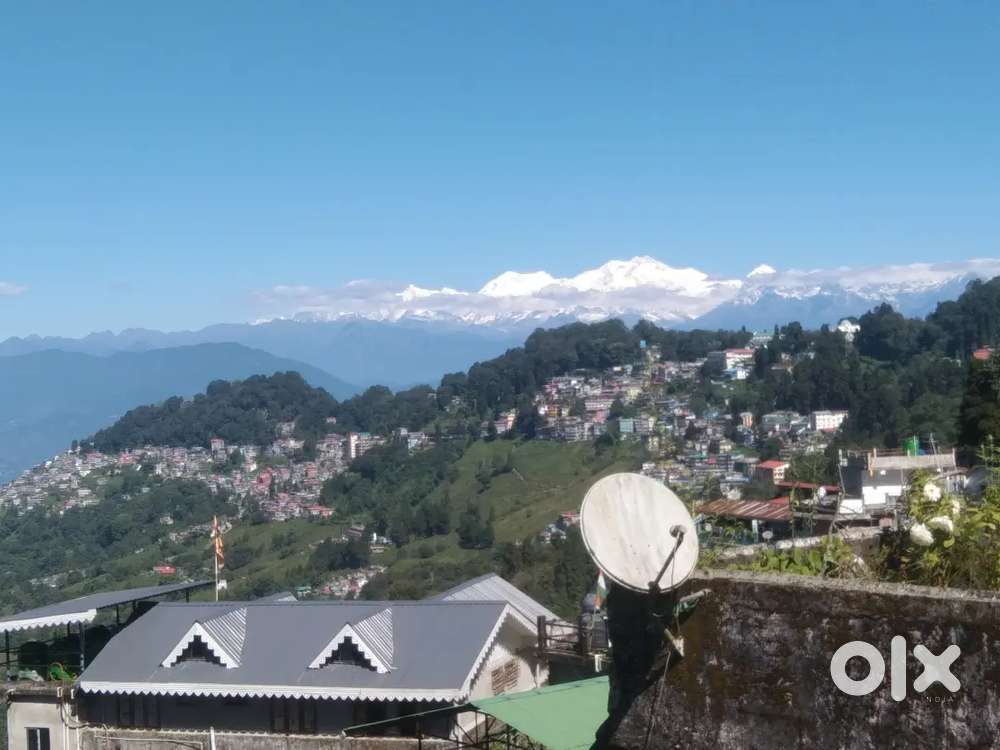 Personal assistant, only female