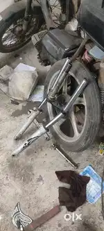 Bike  mechanic wanted