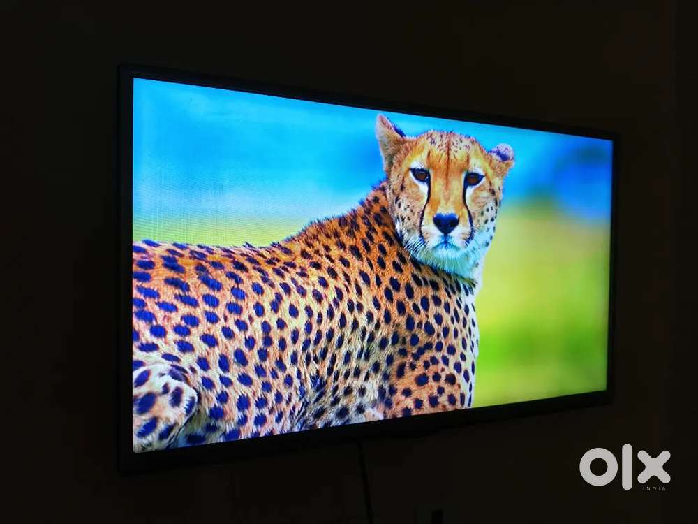 LG 32 INCHES LED TV