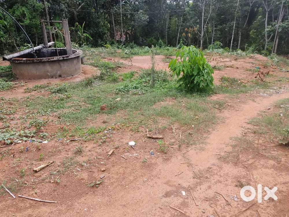 പയ്യമ്പള്ളിയിൽ 10 cent house plot for sale.