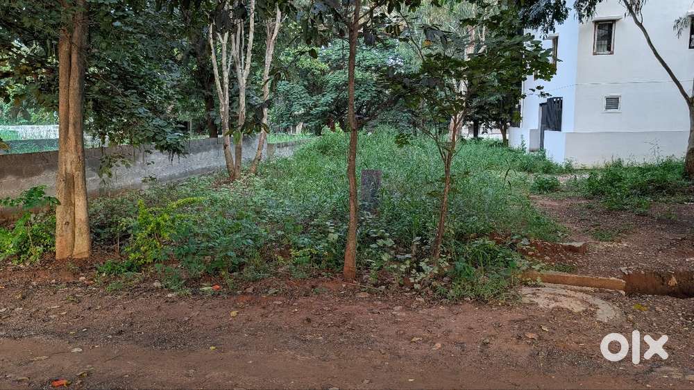plot for sale , asha township ,
