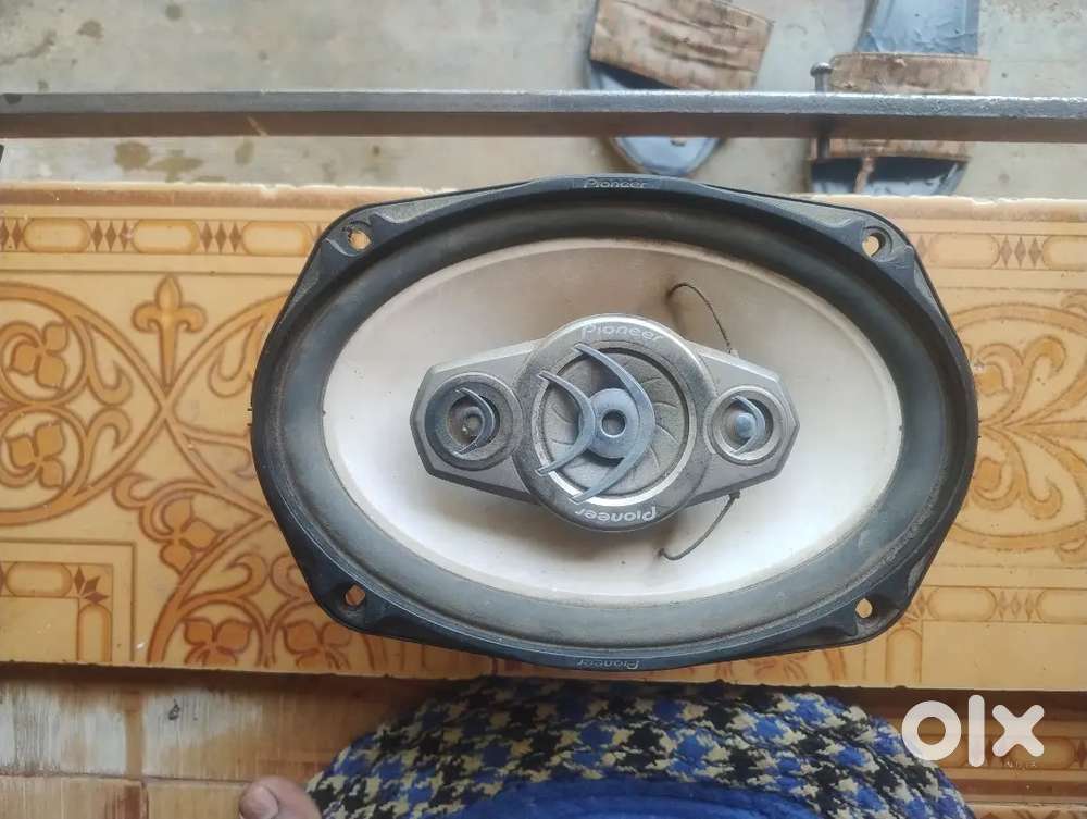 Pioneer speaker