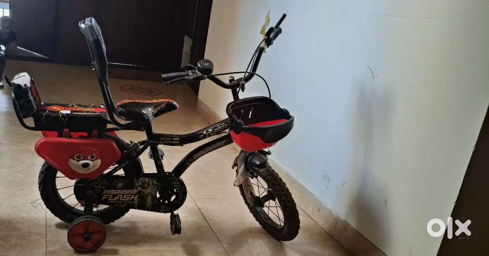 Radiant Flash Bicycle  (price can be negotiated)