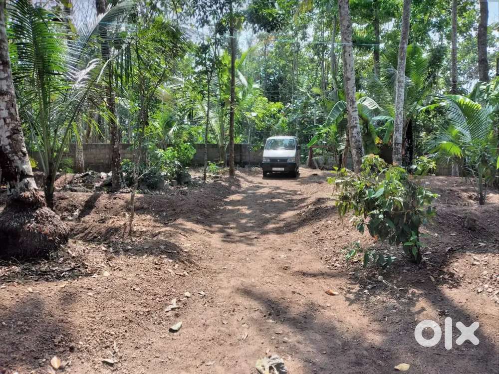 Small House with 23 Cent