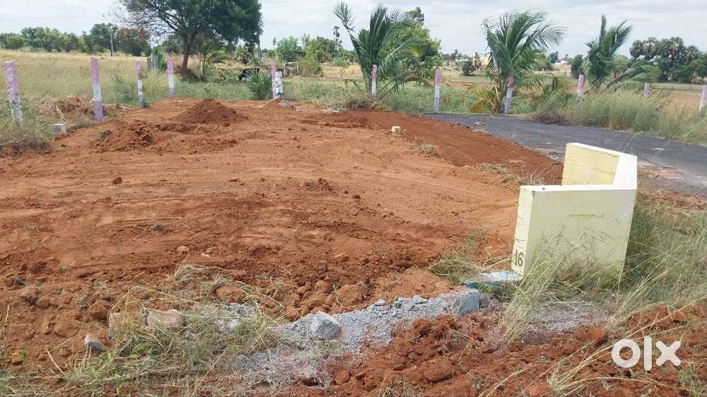 Plot for sale in Thiruvannamalai
