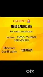 Work from home job