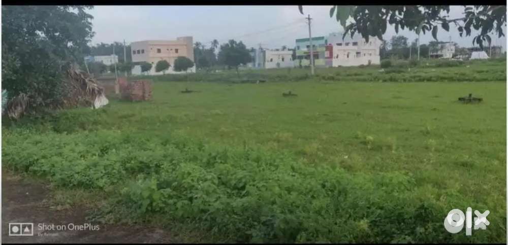 Site for sale immediately N suravaram , Tuni