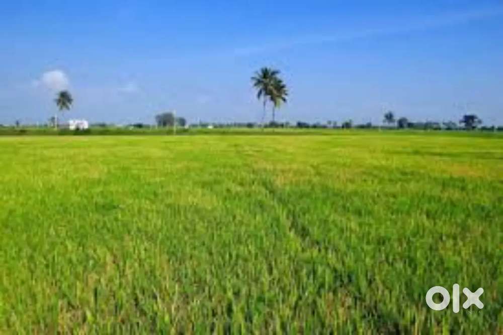 Agriculture land available on road near to state highway and city