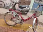 Miss India cycle