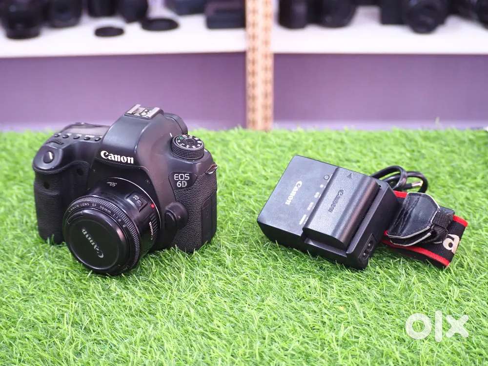 Canon 6d wifi with 50mm f-1.8 Canon (Portrait lens)